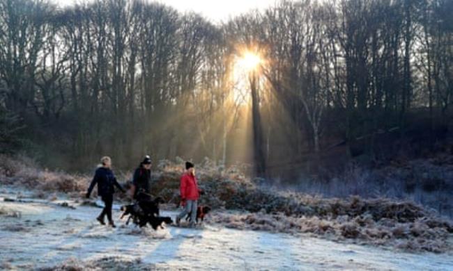 women walk their dogs on a crisp winter morning with frost on the ground